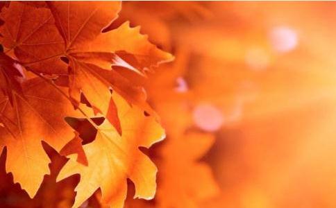 秋日养生应注重一个“和”字