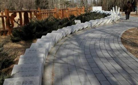 世界灭绝动物纪念碑