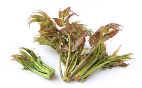 香椿的功效与作用