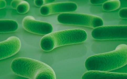 三种增加肠内有益菌的食物