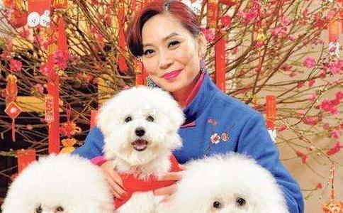 明星谈吃素的好处和缘起