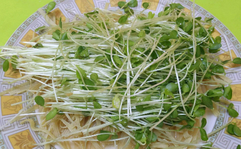 香椿苗的各种好处与饮食做法