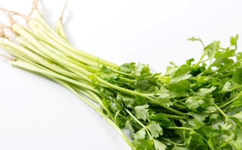 香芹是芹菜吗？香芹、药芹、西芹的区别