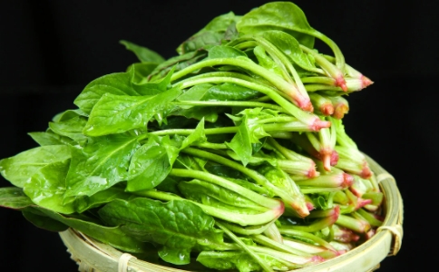 菠菜是从哪里传入中国的？