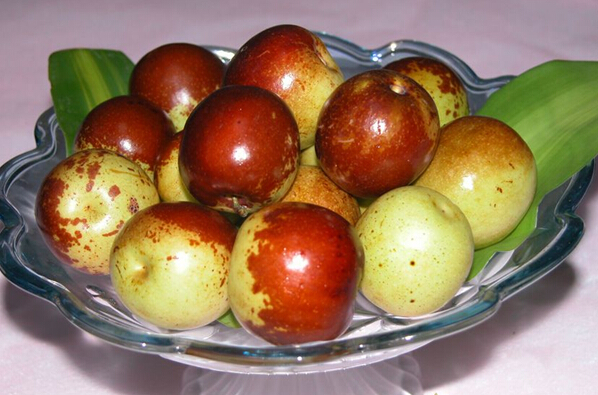 冬季养生需要经常吃些什么食物呢