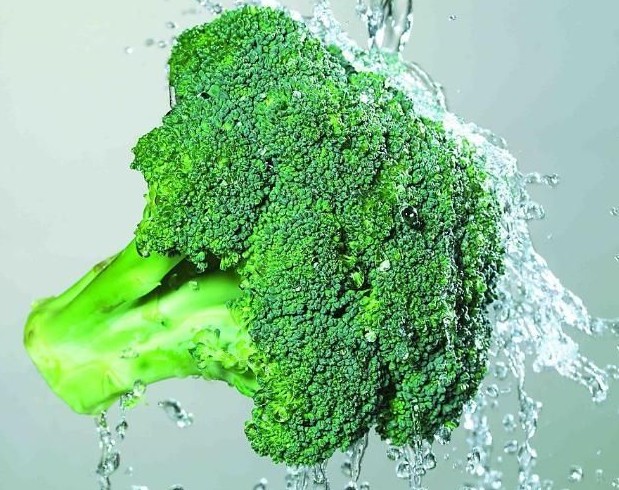 堪与牛奶媲美的绿花椰菜