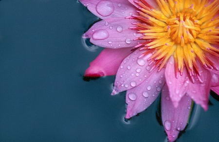雨水时节多吃几种食物