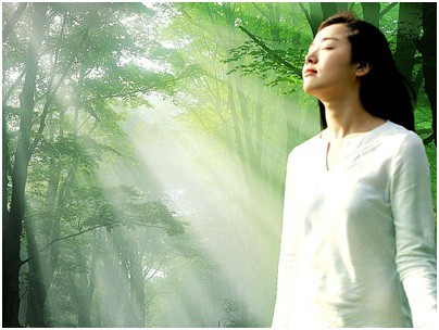 肺的最佳营养素及素食来源