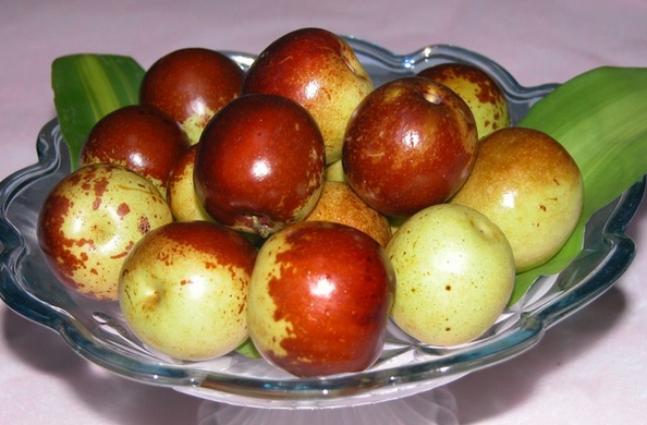 冬季养生需要经常吃些什么食物呢?