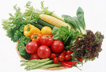 纯素食者的血液抗癌能力更强