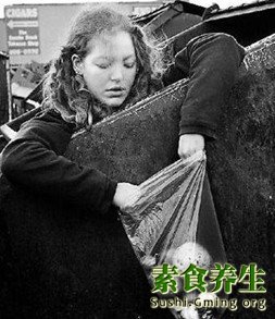 自由素食主义者倡导生活新方式