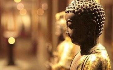 有智慧的去接受处罚