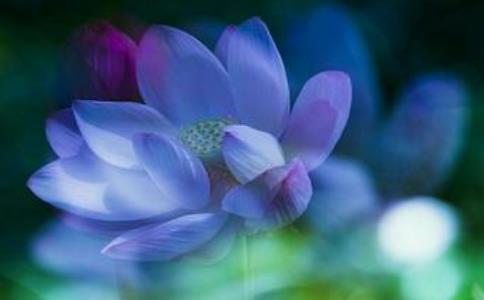 精进念佛的秘诀就是熬