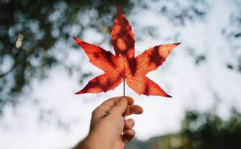 修行人扫光这十大障碍