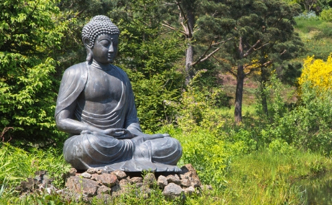 学佛过程中妄念太多怎么办？如何对治？