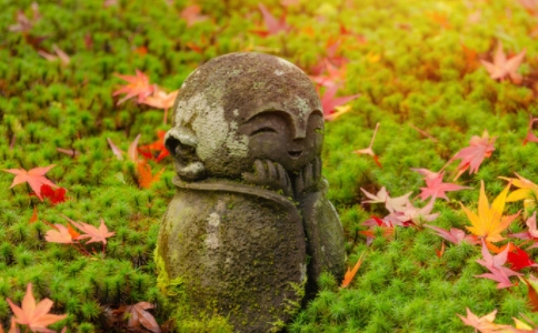 如何把正念带到生活工作家庭中？