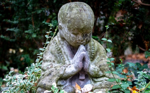 皈依后要供养皈依僧吗？