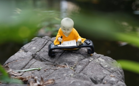 学习佛法不可缺的三方面：爱学习，勤学习，善于学习