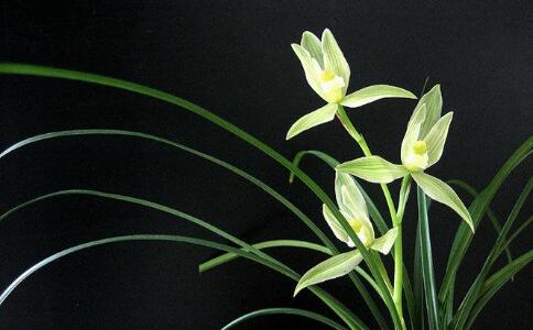 让在家人什么都不求，做不到怎么办？