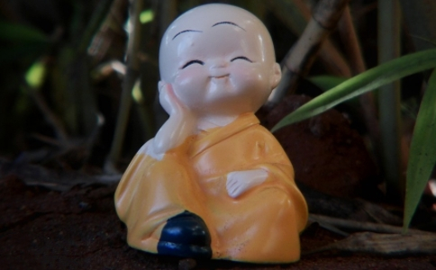 如何去除妄想？坚持佛号，不随妄转