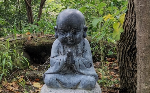 修行有诀窍吗？有捷径可以走吗？