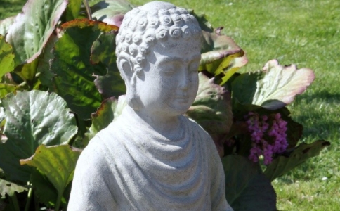 学佛遇到违缘，如何才能令信心不退失？