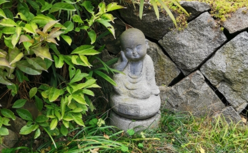 如何才能得到亲近善知识修学佛法的受用？