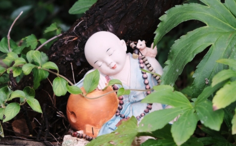 念佛有什么秘诀吗？每天要念多少佛号？