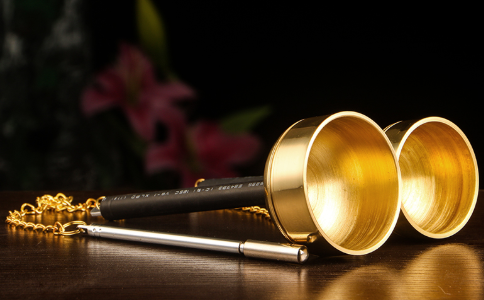 居士做法会念佛时撘衣都穿上了，为什么不能拿引擎？