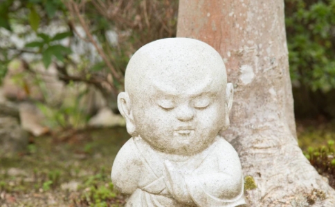 修行为什么要修忍辱？