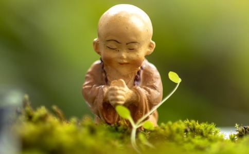 居士每日应该做哪些功课、定课？如何实修？