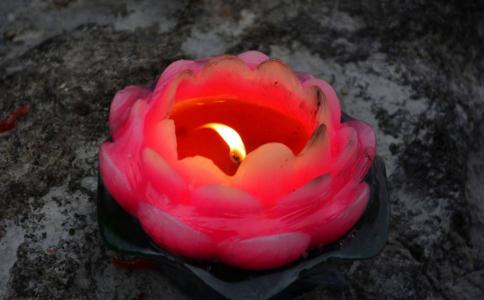 释佛秀往生实录