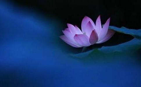 西天祖师四祖优波鞠多尊者