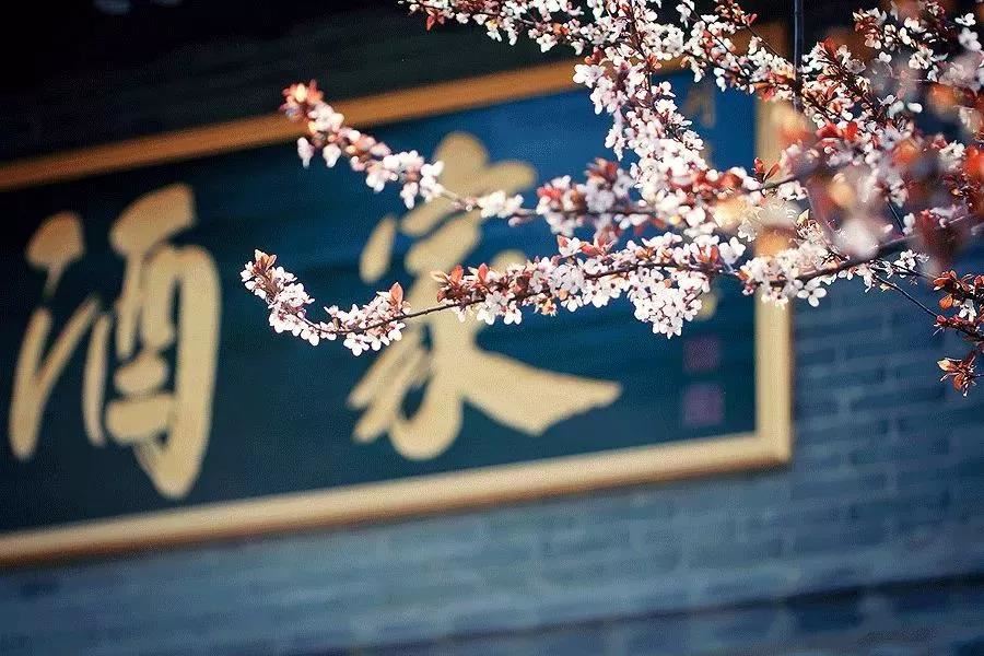 达真堪布：一旦拥有，别无所求