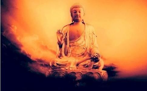 《道德经禅观》夕阳讲解12-就下法则·名字的奥秘·过剩营养的负担·百合花的幸福