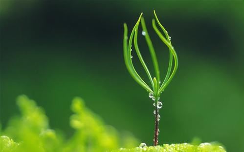 赵子琪：佛教信仰是一种生活智慧