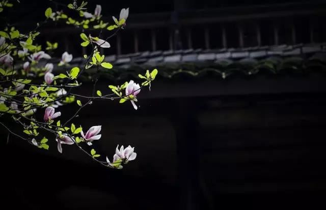 走错的路也是路