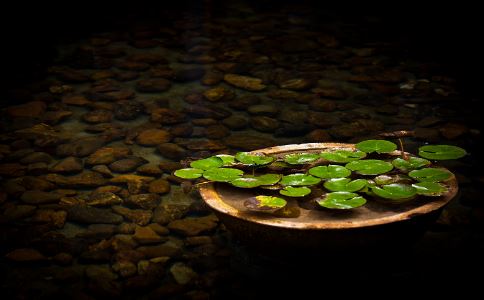 明证法师：什么是求财的正确方法？