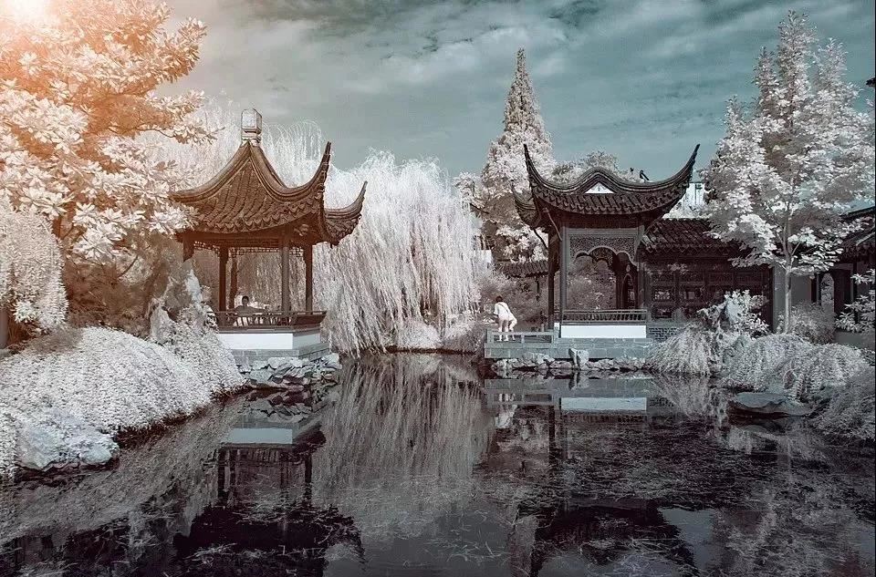 达真堪布：寻找真谛