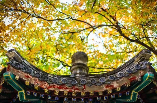 见道忘山似不曾
