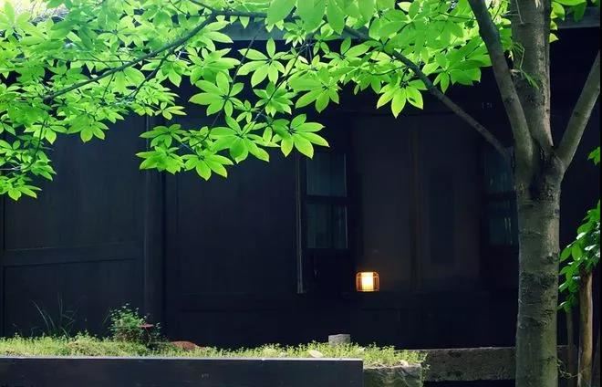 《临江仙·滚滚长江东逝水》明·杨慎