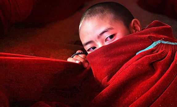 又被风吹过绿萝