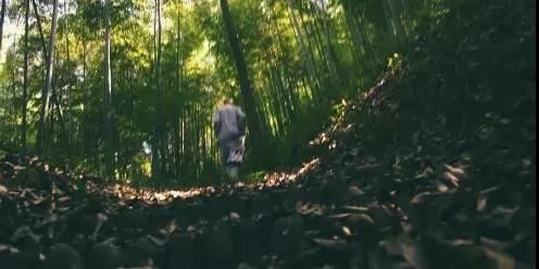 绍云长老：意生身来去自由的云居山博雅老和尚