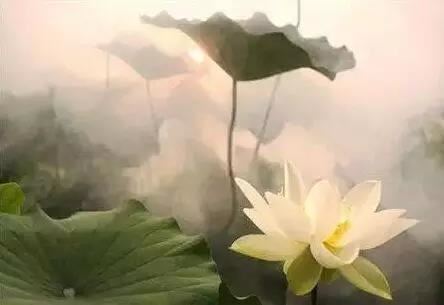 听南师讲故事：“静如处子”的老者