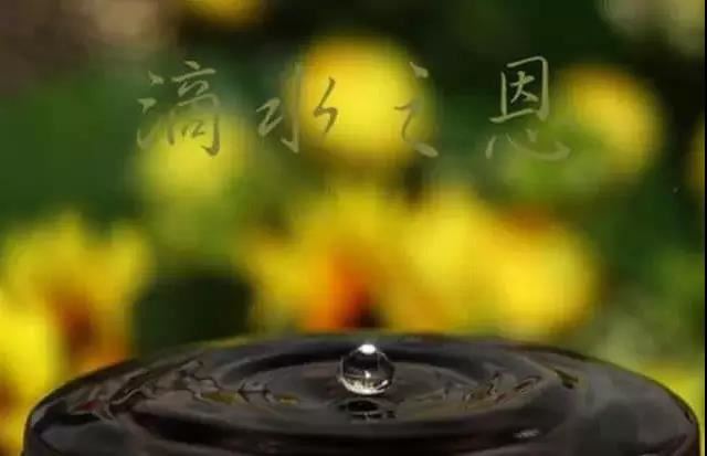 一失足成千古恨，再回首已百年身—苏东坡的故事