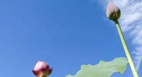 犯邪淫的代价几何？观《那年花开月正圆》吴三夫人与孙掌柜邪淫的警世钟