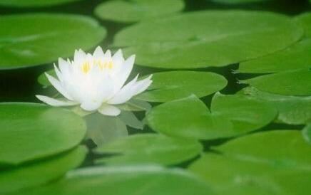 越能转心境 越多幸福越少痛苦