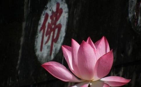 凯西：有人“命中注定”要经历苦难吗？
