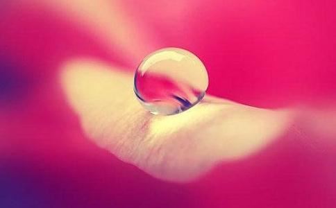 《真我与我：拉玛那尊者的生平与教诲》摘录