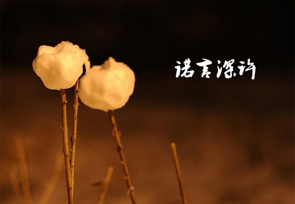 尼古拉 特斯拉（二）
